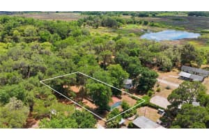 3290 161ST STREET, CITRA, FL 32113 - MLS#MFROM723778