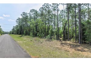 764 W GLENHAVEN DR, DUNNELLON, FL 34434 - MLS#MFROM723779