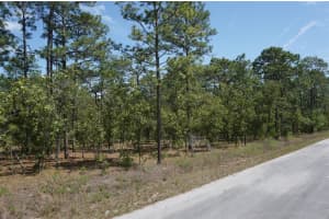 TBD TREE TOP ROAD, DUNNELLON, FL 34431 - MLS#MFROM723836