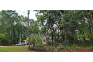 9781 LORETTA WAY, CITRUS SPRINGS, FL 34434 - MLS#MFROM723843