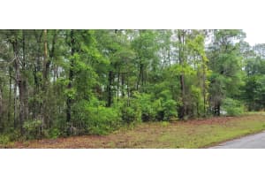 9781 LORETTA WAY, CITRUS SPRINGS, FL 34434 - MLS#MFROM723843