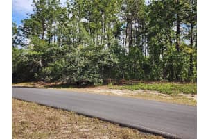 6086 154TH LANE ROAD, OCALA, FL 34473 - MLS#MFROM723874
