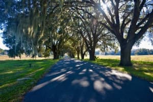 11920 8TH AVENUE, OCALA, FL 34480 - MLS#MFROM723894