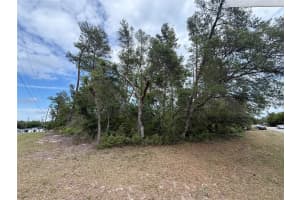 0 33RD COURT ROAD, OCALA, FL 34473 - MLS#MFROM723896