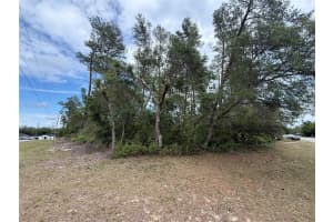 0 33RD COURT ROAD, OCALA, FL 34473 - MLS#MFROM723896