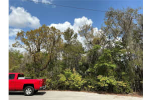 ASH PASS RUN, OCALA, FL 34472 - MLS#MFROM723933