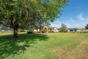 7830 25TH AVENUE, OCALA, FL 34480 - MLS#MFROM723973