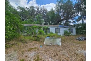 15123 Ne 38th Ct, CITRA