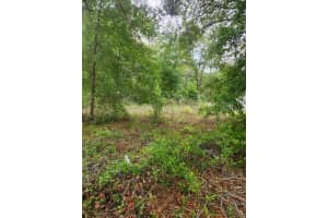 00 MARION OAKS PASS, OCALA, FL 34473 - MLS#MFROM724004