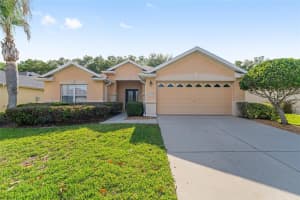 13358 86TH CIRCLE, SUMMERFIELD, FL 34491 - MLS#MFROM724021