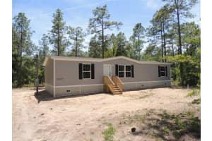 14230 20TH STREET, MORRISTON, FL 32668 - MLS#MFROM724041