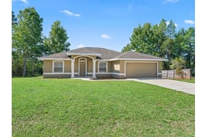 214 FISHER RUN, OCKLAWAHA, FL 32179 - MLS#MFROM724104