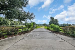 6155 145TH AVE ROAD, MORRISTON, FL 32668 - MLS#MFROM724143