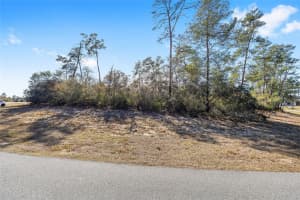 0 SW 47 TERRACE, OCALA, FL 34473 - MLS#MFROM724182