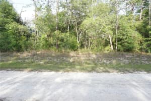 00 (TBD) 135 TERRACE ROAD, DUNNELLON, FL 34432 - MLS#MFROM724221
