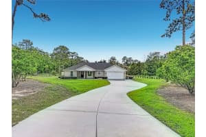 15204 GANSTER DRIVE, BROOKSVILLE, FL 34613 - MLS#MFROM724224