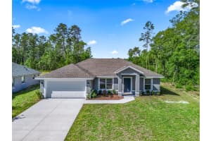 4986 166TH LOOP, OCALA, FL 34473 - MLS#MFROM724255