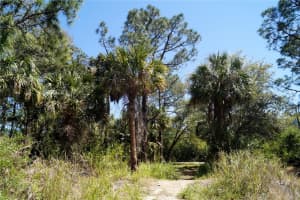 8370 CHORLEY AVENUE, NORTH PORT, FL 34291 - MLS#MFROM724262