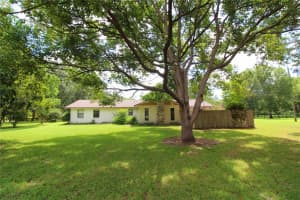 8440 73RD AVENUE, OCALA, FL 34476 - MLS#MFROM724276