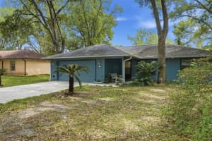 31 ALMOND PASS DRIVE, OCALA, FL 34472 - MLS#MFROM724322