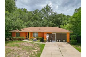10 SEQUOIA DRIVE TRACE, OCKLAWAHA, FL 32179 - MLS#MFROM724330