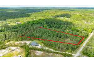 3623 CONIFER LANE, ORMOND BEACH, FL 32174 - MLS#MFROM724348
