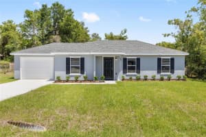 29 OLIVE CIRCLE, OCALA, FL 34472 - MLS#MFROM724376