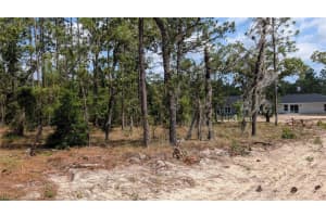 lot 32 HEMLOCK AVENUE, DUNNELLON, FL 34431 - MLS#MFROM724391