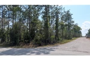 lot 32 HEMLOCK AVENUE, DUNNELLON, FL 34431 - MLS#MFROM724391