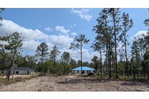 lot 32 HEMLOCK AVENUE, DUNNELLON, FL 34431 - MLS#MFROM724391