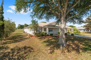 9917 96TH STREET, OCALA, FL 34481 - MLS#MFROM724407