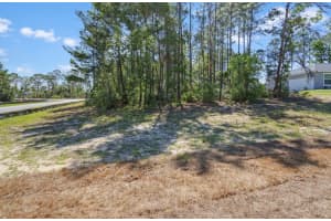 TBD 50TH AVENUE, OCALA, FL 34473 - MLS#MFROM724446