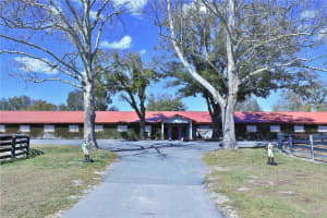 6692 150TH AVENUE, MORRISTON, FL 32668 - MLS#MFROM724473