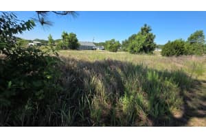 SW 149TH TERRACE, OCALA, FL 34481 - MLS#MFROM724511