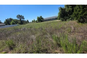 SW 149TH TERRACE, OCALA, FL 34481 - MLS#MFROM724511