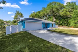 3853 139TH LANE, SUMMERFIELD, FL 34491 - MLS#MFROM724555