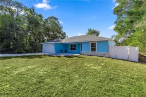 3853 139TH LANE, SUMMERFIELD, FL 34491 - MLS#MFROM724555