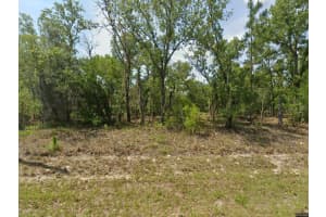 1900 MAGENTA DRIVE, DUNNELLON, FL 34434 - MLS#MFROM724594