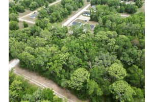 SW 31ST PL, OCALA, FL 34481 - MLS#MFROM724603