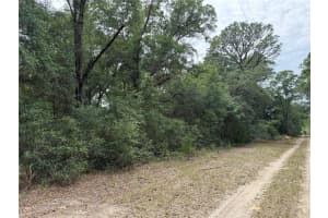 SW 31ST PL, OCALA, FL 34481 - MLS#MFROM724603