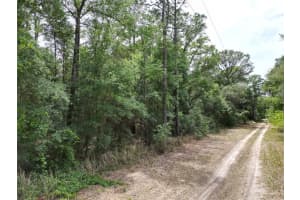 SW 31ST PL, OCALA, FL 34481 - MLS#MFROM724603