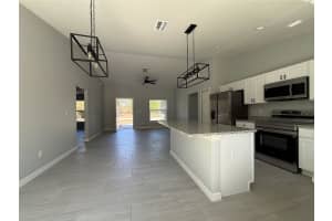 3 GUAVA PLACE DRIVE, OCKLAWAHA, FL 32179 - MLS#MFROM724670
