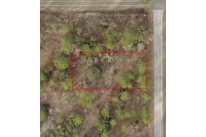 TBD TEMPLE HEIGHTS COURT, DUNNELLON, FL 34431 - MLS#MFROM724705