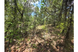 Lot 18 WOOD ROAD, DUNNELLON, FL 34431 - MLS#MFROM724727