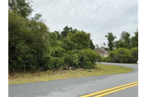 SW 165TH PL, OCALA, FL 34473 - MLS#MFROM724772