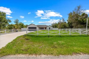 17 HOLLY ROAD, OCALA, FL 34472 - MLS#MFROM725078