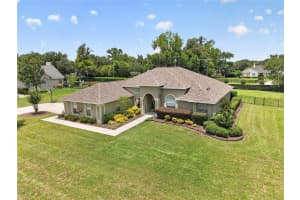3903 38TH LOOP, OCALA, FL 34480 - MLS#MFROM725417