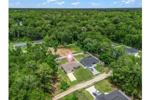 4243 131ST LANE, BELLEVIEW, FL 34420 - MLS#MFROM725619