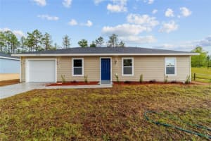 1473 153RD COURT, OCALA, FL 34481 - MLS#MFROM725816