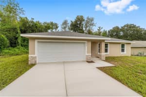 15100 28TH LANE, OCALA, FL 34481 - MLS#MFROM725873